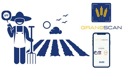 Granoscan